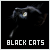 black cats